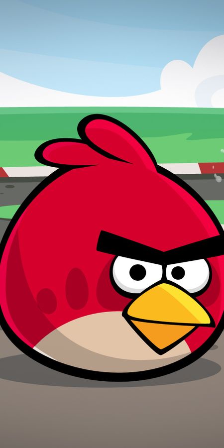 Phone wallpaper: Heikki, Angry Birds, Game, Bird, Video Game free download