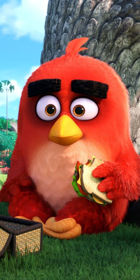 Phone wallpaper: The Angry Birds Movie, Angry Birds, Movie free download