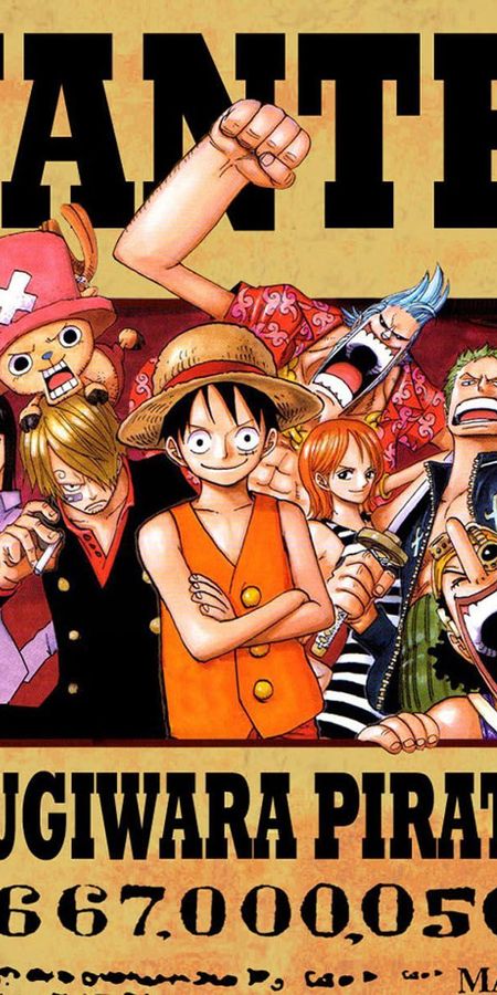 Phone wallpaper: Anime, One Piece, Tony Tony Chopper, Usopp (One Piece), Roronoa Zoro, Monkey D Luffy, Nami (One Piece), Sanji (One Piece), Nico Robin free download