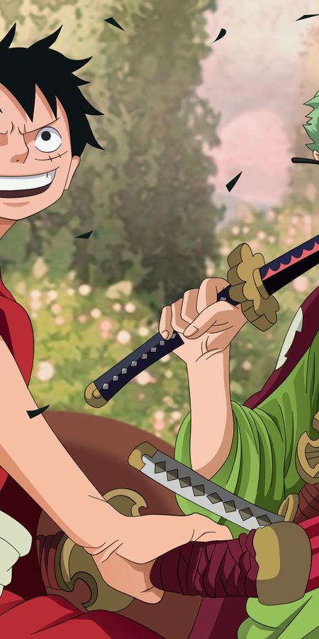 Phone wallpaper: Roronoa Zoro, Monkey D Luffy, One Piece, Anime free download