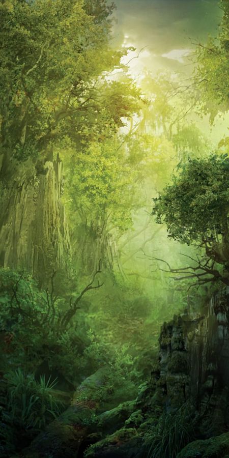 Phone wallpaper: Fantasy, Forest, Tree, Game, Magic: The Gathering free download
