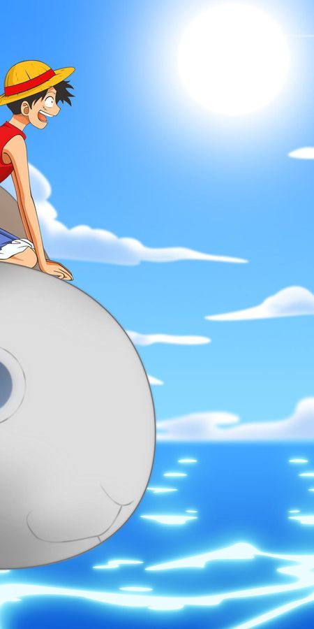 Phone wallpaper: Anime, One Piece, Monkey D Luffy, Going Merry (One Piece) free download