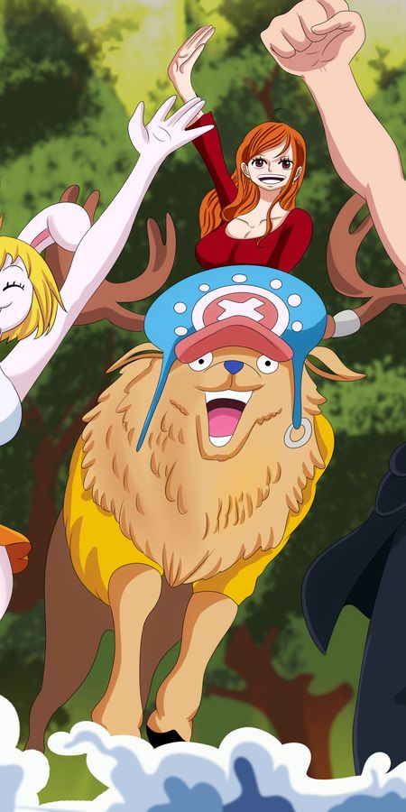 Phone wallpaper: Anime, One Piece, Tony Tony Chopper, Nami (One Piece), Sanji (One Piece), Brook (One Piece), Carrot (One Piece) free download