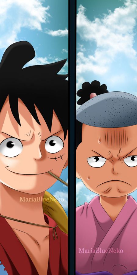 Phone wallpaper: Anime, One Piece, Monkey D Luffy, Trafalgar Law, Kozuki Momonosuke, Inuarashi (One Piece) free download