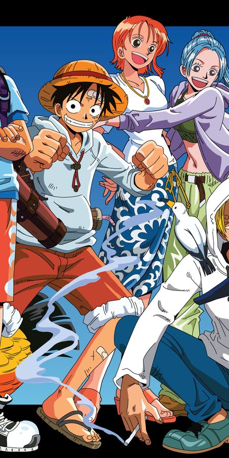 Phone wallpaper: Anime, One Piece, Tony Tony Chopper, Usopp (One Piece), Roronoa Zoro, Monkey D Luffy, Nami (One Piece), Sanji (One Piece), Nefertari Vivi free download