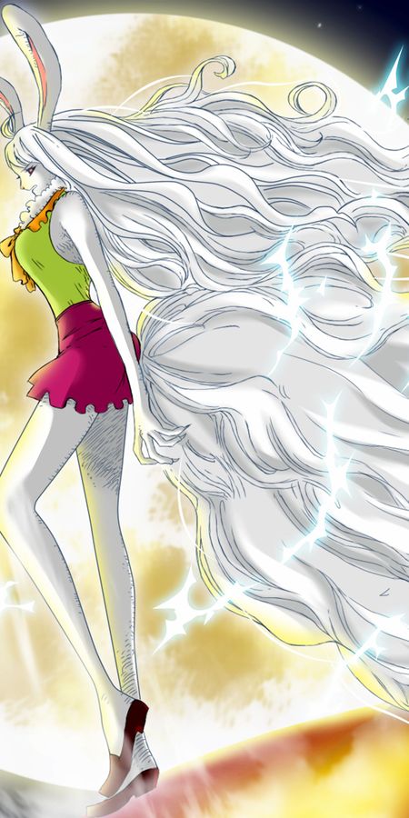 Phone wallpaper: Anime, One Piece, Carrot (One Piece) free download