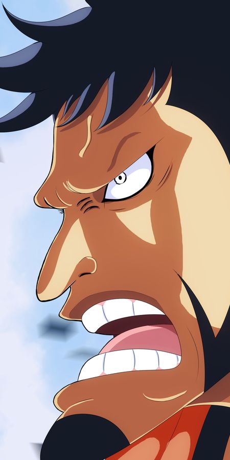 Phone wallpaper: Anime, One Piece, Kin'emon (One Piece) free download