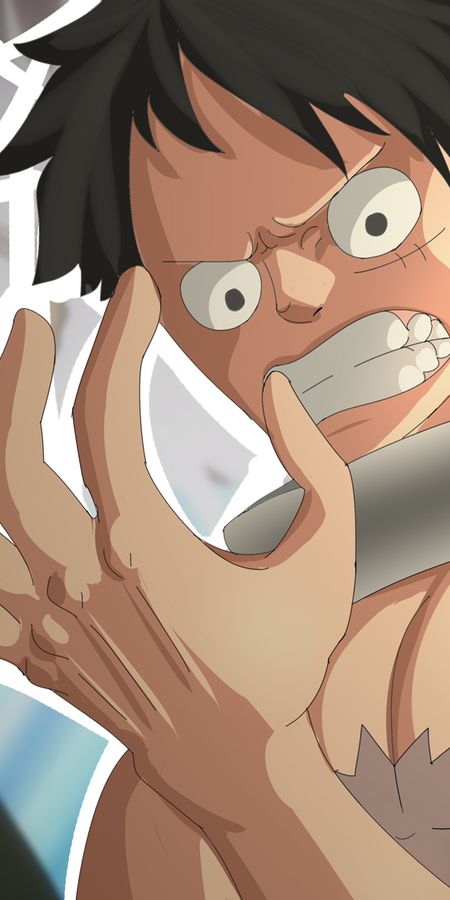 Phone wallpaper: Anime, One Piece, Monkey D Luffy, Rayleigh Silvers free download