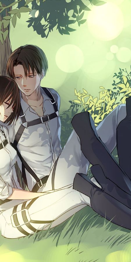 Phone wallpaper: Levi Ackerman, Mikasa Ackerman, Attack On Titan, Anime free download