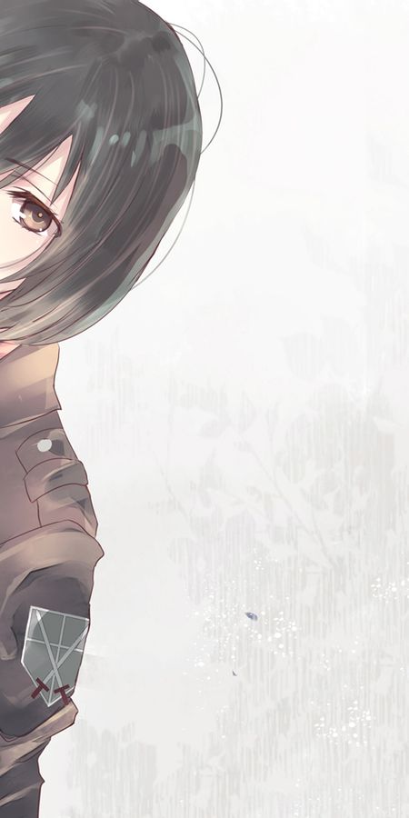 Phone wallpaper: Anime, Mikasa Ackerman, Attack On Titan free download