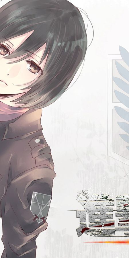 Phone wallpaper: Mikasa Ackerman, Attack On Titan, Anime free download