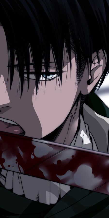 Phone wallpaper: Levi Ackerman, Attack On Titan, Anime free download