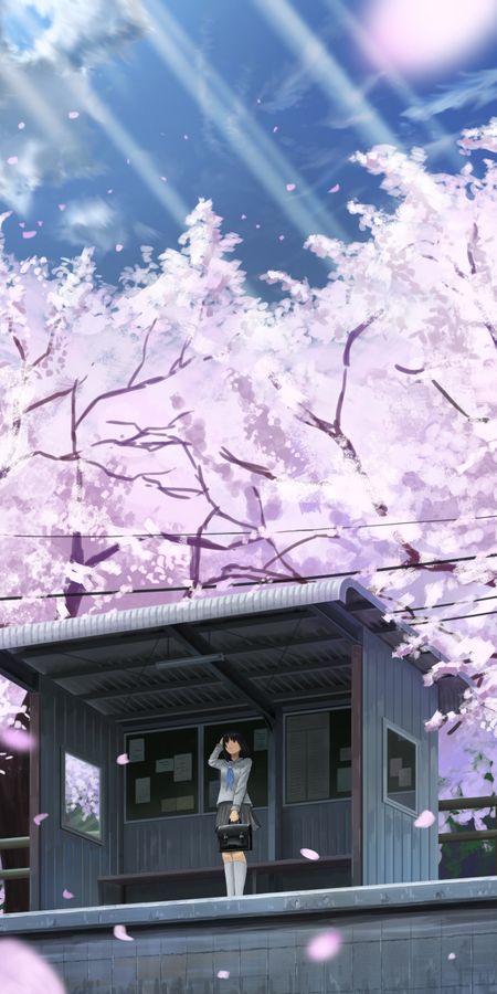 Phone wallpaper: Anime, Bag, Cherry Blossom, Original, Black Hair, Short Hair, Telephone Pole free download