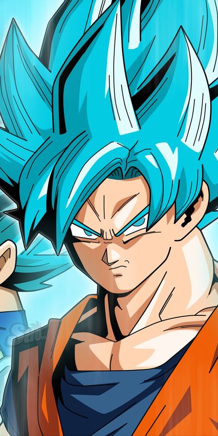 Phone wallpaper: Anime, Dragon Ball, Goku, Vegeta (Dragon Ball), Dragon Ball Super free download