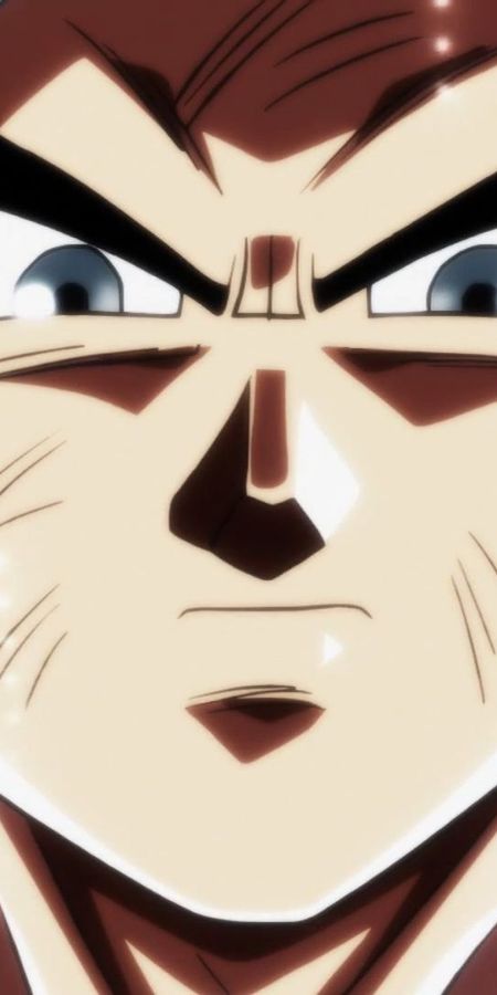 Phone wallpaper: Anime, Dragon Ball, Goku, Dragon Ball Super, Ultra Instinct (Dragon Ball) free download