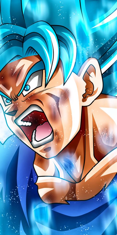 Phone wallpaper: Anime, Dragon Ball, Goku, Dragon Ball Super free download