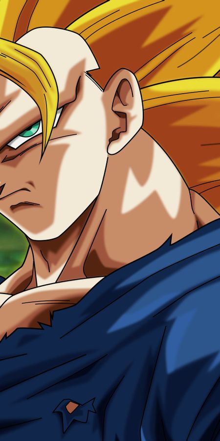 Phone wallpaper: Anime, Dragon Ball, Goku, Super Saiyan 3, Dragon Ball Super free download