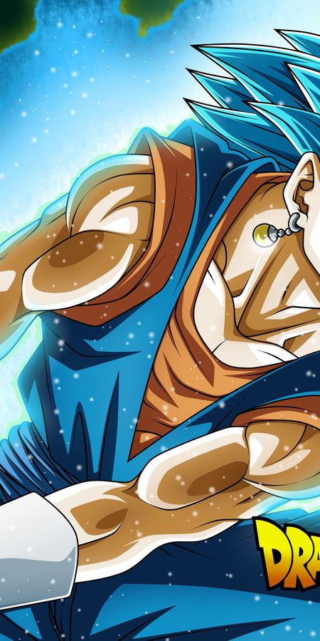 Phone wallpaper: Anime, Dragon Ball, Dragon Ball Super, Vegito (Dragon Ball) free download