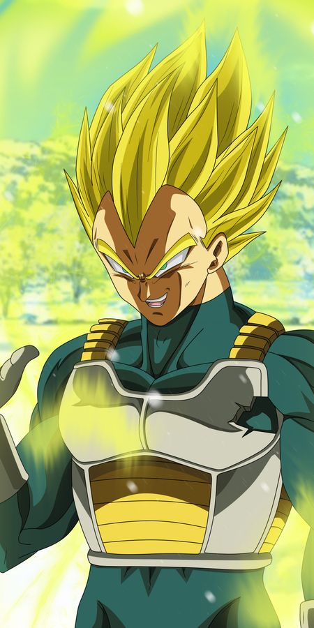 Phone wallpaper: Anime, Dragon Ball, Vegeta (Dragon Ball), Dragon Ball Super free download