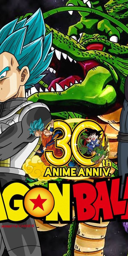 Phone wallpaper: Anime, Dragon Ball, Goku, Vegeta (Dragon Ball), Dragon Ball Super, Ssgss Goku, Ssgss Vegeta, Hit (Dragon Ball) free download