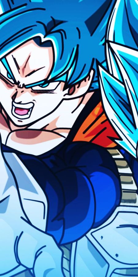 Phone wallpaper: Anime, Dragon Ball, Goku, Vegeta (Dragon Ball), Dragon Ball Super free download