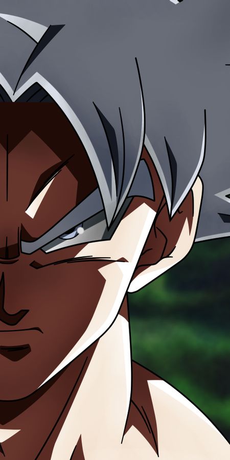 Phone wallpaper: Anime, Dragon Ball, Goku, Dragon Ball Super free download