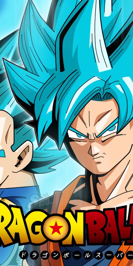 Phone wallpaper: Anime, Dragon Ball, Dragon Ball Super free download