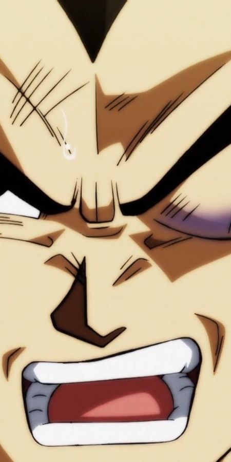 Phone wallpaper: Anime, Dragon Ball, Vegeta (Dragon Ball), Dragon Ball Super free download