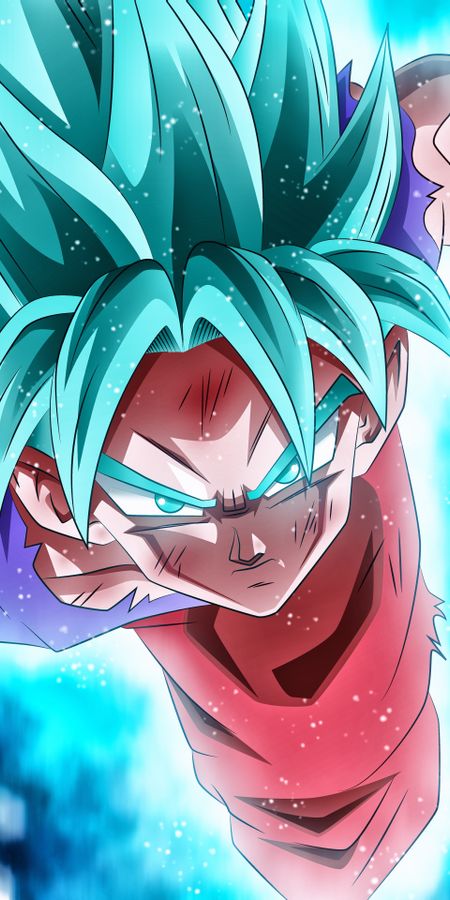 Phone wallpaper: Anime, Dragon Ball, Goku, Dragon Ball Super free download