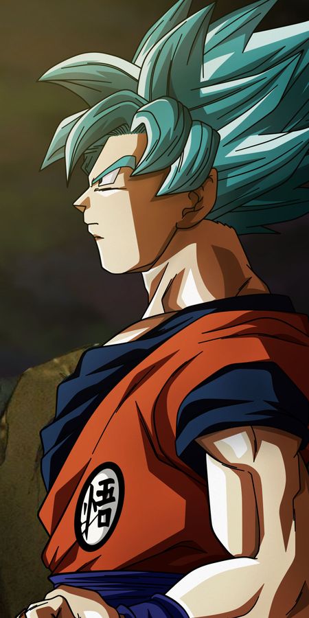 Phone wallpaper: Anime, Dragon Ball, Goku, Dragon Ball Super free download