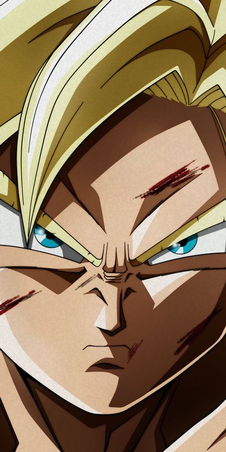 Phone wallpaper: Anime, Dragon Ball, Goku, Dragon Ball Super free download