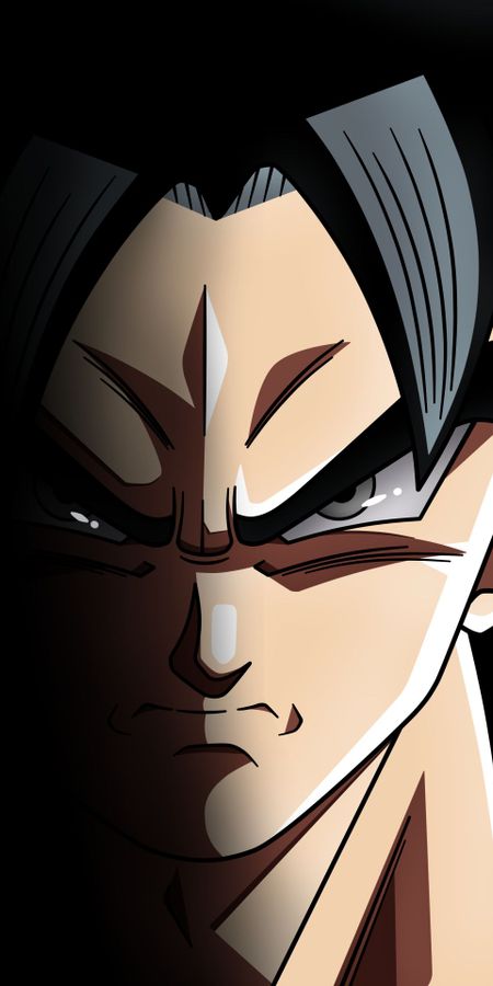 Phone wallpaper: Anime, Dragon Ball, Goku, Dragon Ball Super, Ultra Instinct (Dragon Ball) free download