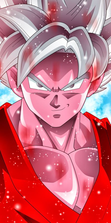 Phone wallpaper: Anime, Dragon Ball, Goku, Dragon Ball Super free download