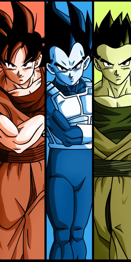 Phone wallpaper: Anime, Dragon Ball, Goku, Gohan (Dragon Ball), Vegeta (Dragon Ball), Dragon Ball Super free download