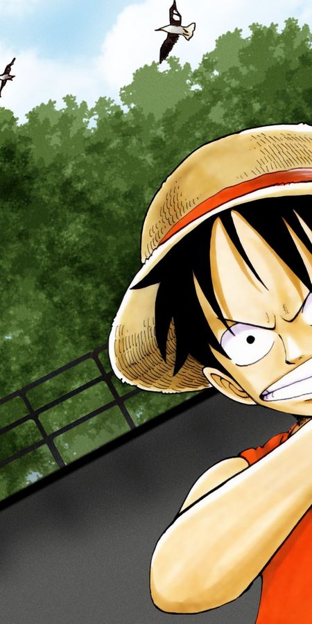 Phone wallpaper: Monkey D Luffy, One Piece, Anime free download